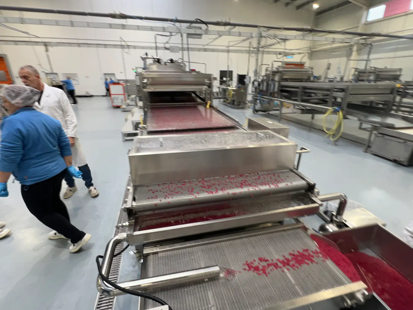 Linea di produzione 2